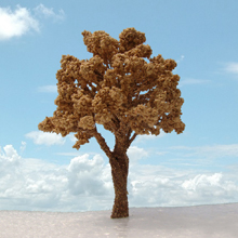 model trees